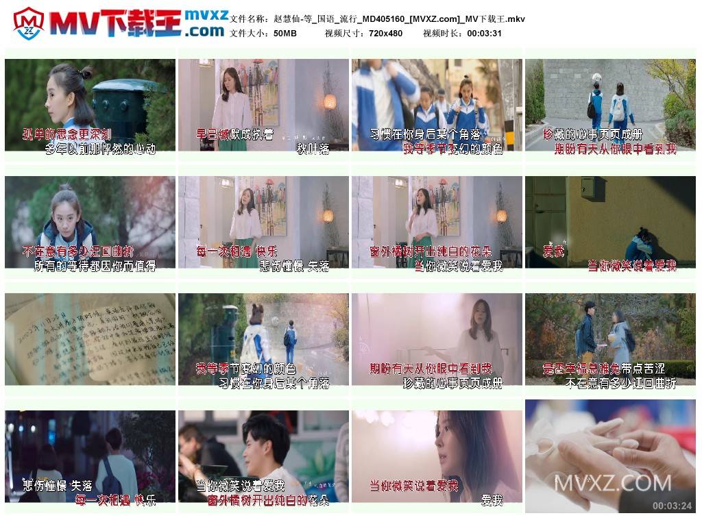 赵慧仙-等_国语_流行_MD405160